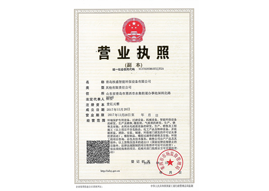 Business License